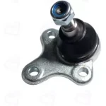 سیبک طبق آریزو 5