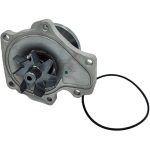 واتر پمپ جیلی شاسی